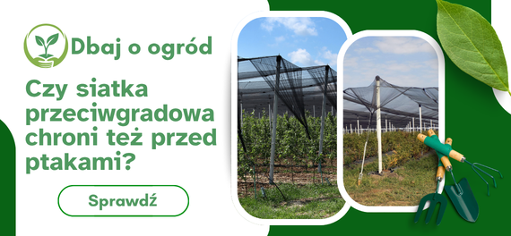 Czy siatka przeciwgradowa chroni też przed ptakami?